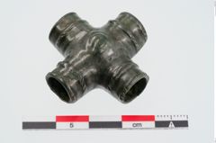 Foto von Bronzeriemendurchzug (NHMW-PRAE-023917)